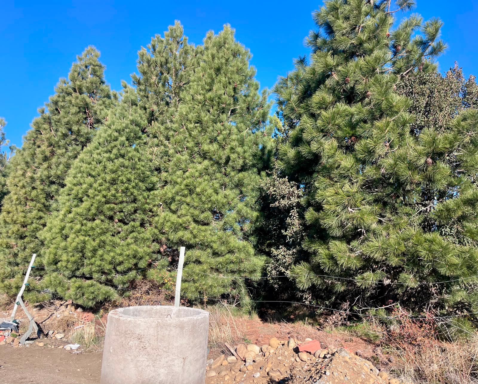 Lotes en B° El Cóndor, Bariloche.